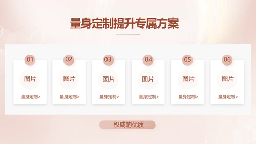 轻奢女神微整形医院介绍工作总结PPT