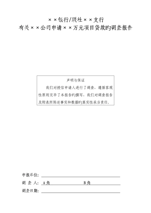 公司具体申请万元专项项目贷款的调查汇总报告.docx