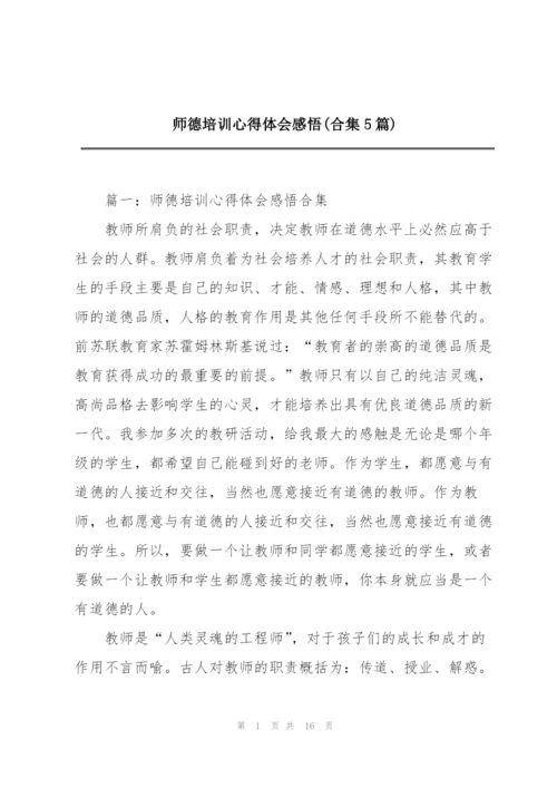 师德培训心得体会感悟(合集5篇).docx