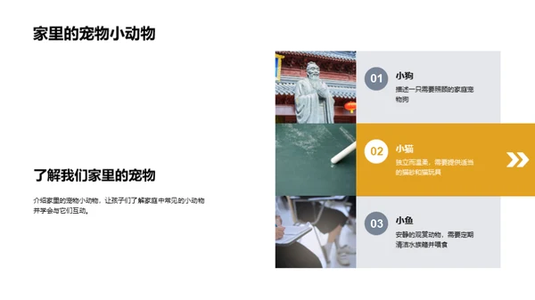 我们的小小动物园