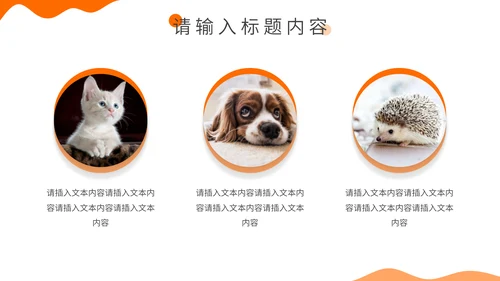 宠物健康饲养专题介绍通用PPT模板