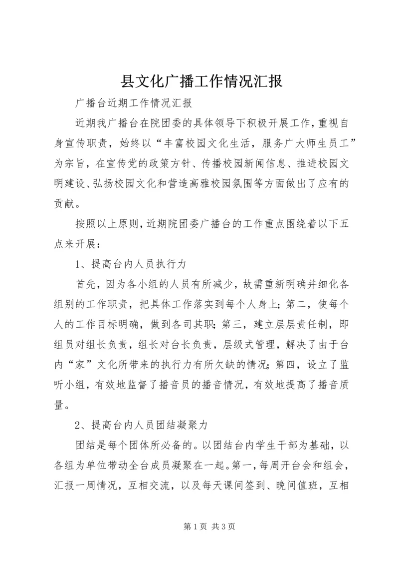 县文化广播工作情况汇报 (2).docx