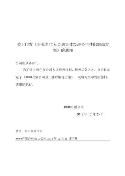 事业单位人员挂帅集体经济公司方案.docx