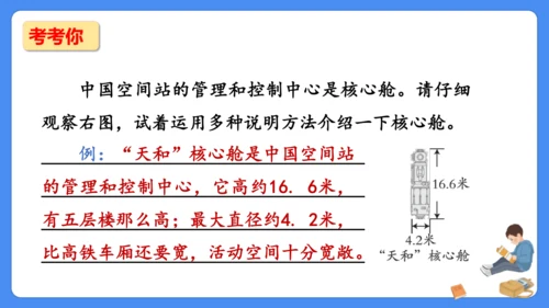 期末专项复习 说明文阅读复习（课件）-2024-2025学年语文五年级上册（统编版）