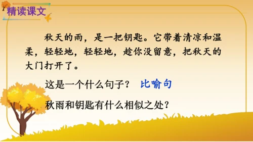 6 秋天的雨   课件
