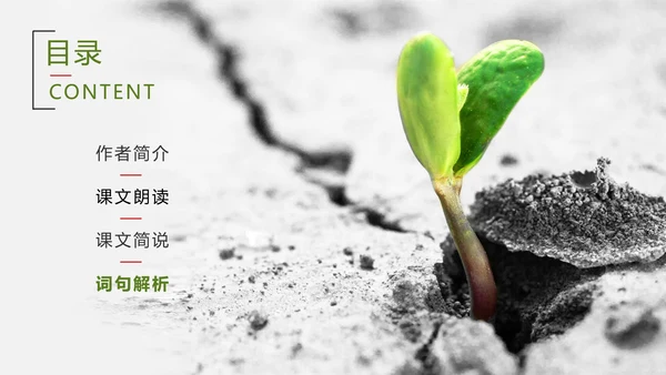 爱护生命保护环境林PPT教学课件