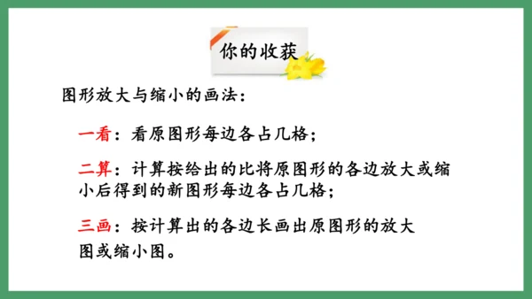 新人教版数学六年级下册4.3.4  图形的放大与缩小课件