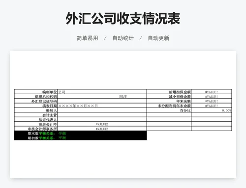 外汇公司收支情况表