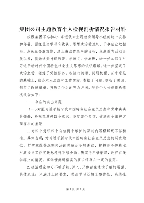 集团公司主题教育个人检视剖析情况报告材料.docx