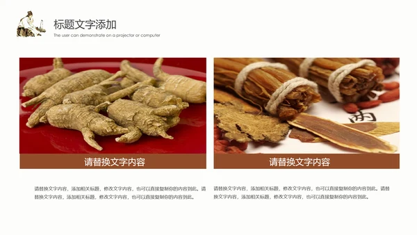 传统中医学中医院中医文化中草药PPT模板