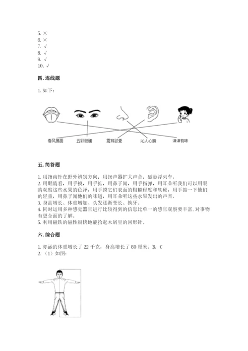 教科版小学科学二年级下册 期末测试卷含答案【夺分金卷】.docx