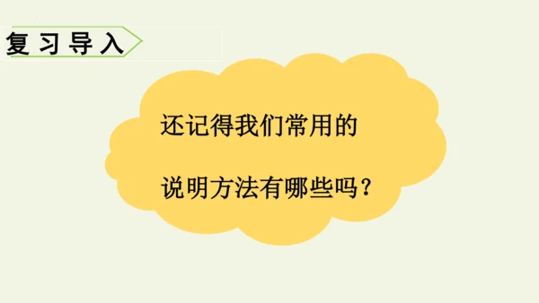 部编版 五年级语文上册第五单元习作例文 《鲸》（课件）