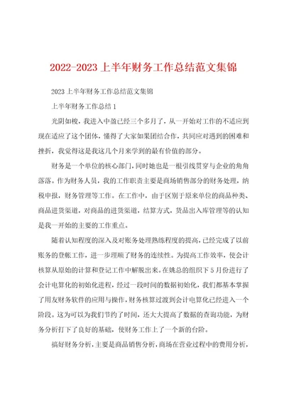 20222023上半年财务工作总结范文集锦