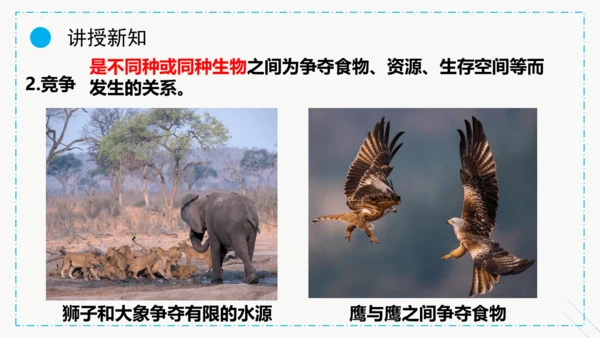 1.2.1生物与环境的关系课件2023--2024学年人教版生物七年级上册(共30张PPT)