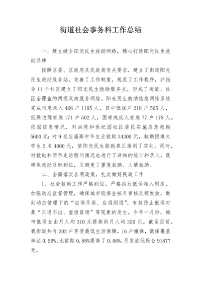 街道社会事务科工作总结.docx