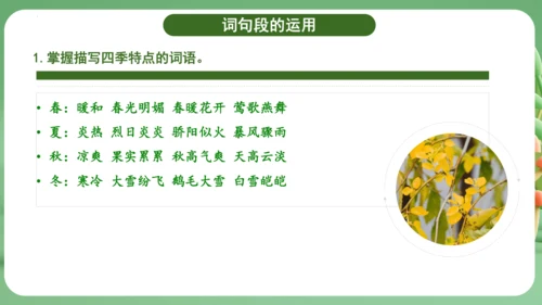 统编版2024三年级语文上册第二单元复习   课件
