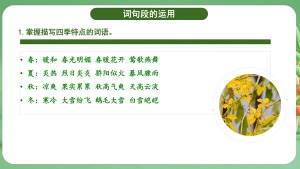 统编版2024三年级语文上册第二单元复习   课件