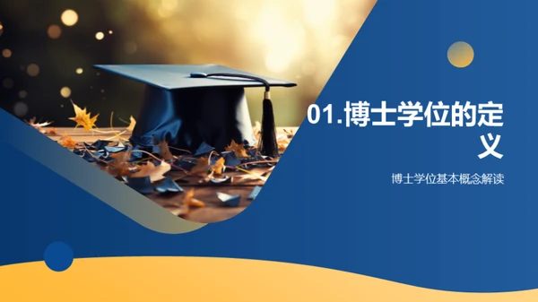 解析博士之路