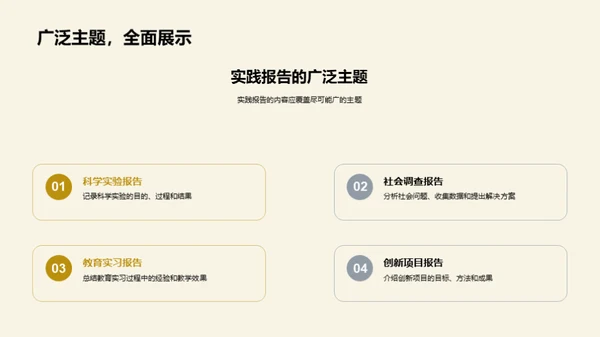 实践报告精要