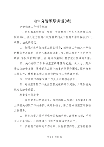 内审分管领导讲话(精) (5).docx