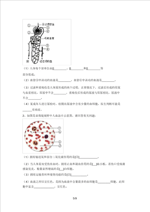 2021年九年级生物上册期末考试题带答案