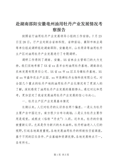 赴湖南邵阳安徽亳州油用牡丹产业发展情况考察报告.docx