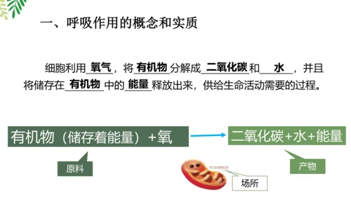 3.5.2 绿色植物的呼吸作用-2023-2024学年七年级生物上册优质课件（人教版）(共18张PP