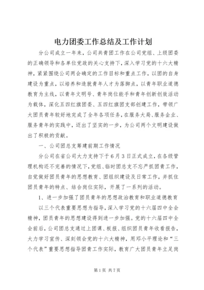 电力团委工作总结及工作计划 (2).docx