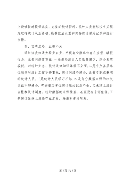 县统计执法检查自查报告(2).docx