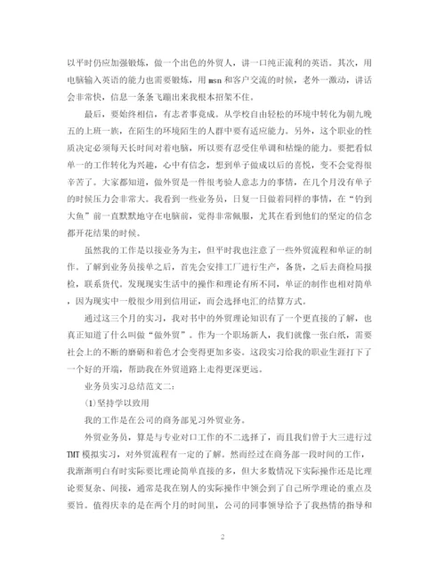 精编之业务员实习总结范文3篇.docx