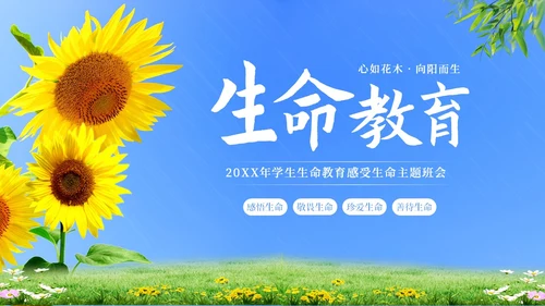 生命教育认识生命珍爱生命教育主题班会PPT课件