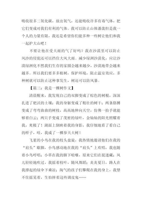 我是一棵树作文300字.docx