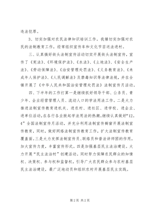 乡镇法制宣教半年工作总结.docx