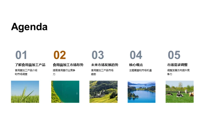 食用菌市场：全面解析