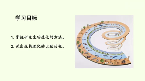 7.3.2生物进化的历程-八年级生物人教版下学期同步精品课件(共34张PPT)