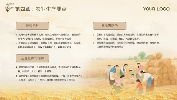 黄色古风中国传统文化二十四节气芒种课堂科普PPT模板