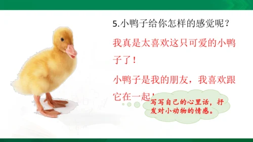 部编版二年级语文看图写话写动物课件