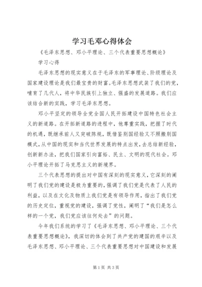 学习毛邓心得体会 (4).docx