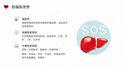 红色水彩简约插画全国爱肝日企业培训PPT课件