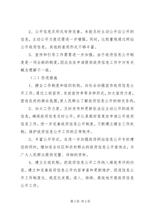 乡镇政府信息公开年终总结.docx