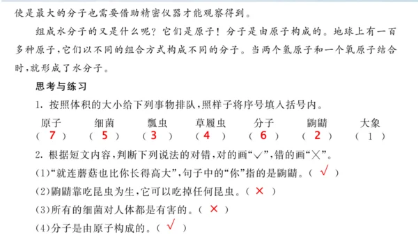 7《什么比猎豹的速度更快》（课件）