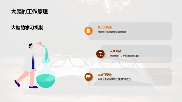 学习：大脑的秘密武器