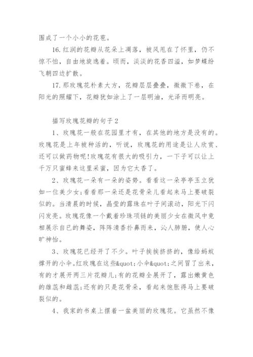 描写玫瑰花瓣的句子.docx