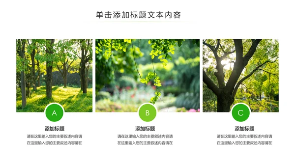 绿色环保森林湿地环境保护生态森林业PPT模板