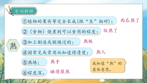 【核心素养】部编版语文三年级下册-语文园地六（课件）