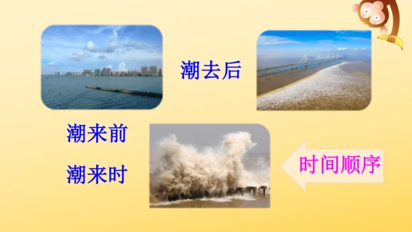 1 观潮   课件