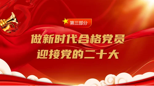 做新时代合格党员迎接党代表大会党课PPT模板
