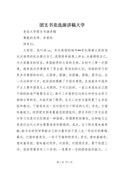 团支书竞选演讲稿大学.docx