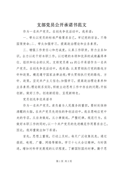 支部党员公开承诺书范文.docx