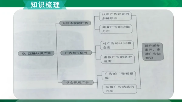 【期末复习】统编版道德与法治4年级上册第3单元 信息万花筒 复习课件（24张PPT）